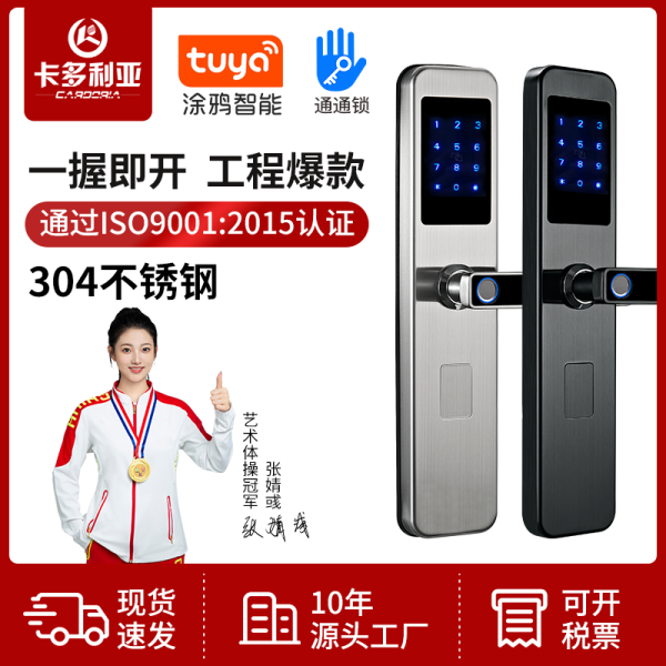 TTLOCK Tongtong Lock/TUYA Tuya Fingerprint Lock Wholesale Hotel Apartment Short Rental B&B Smart Lock Manufacturer Support OEM/ODM OEM