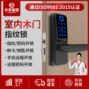 Indoor graffiti smart wooden door fingerprint lock smart door lock all WIFI lock office bedroom password lock wholesale